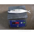 Chinesische Fabrik Frozen Fish 100-200G Pazifikmakrele